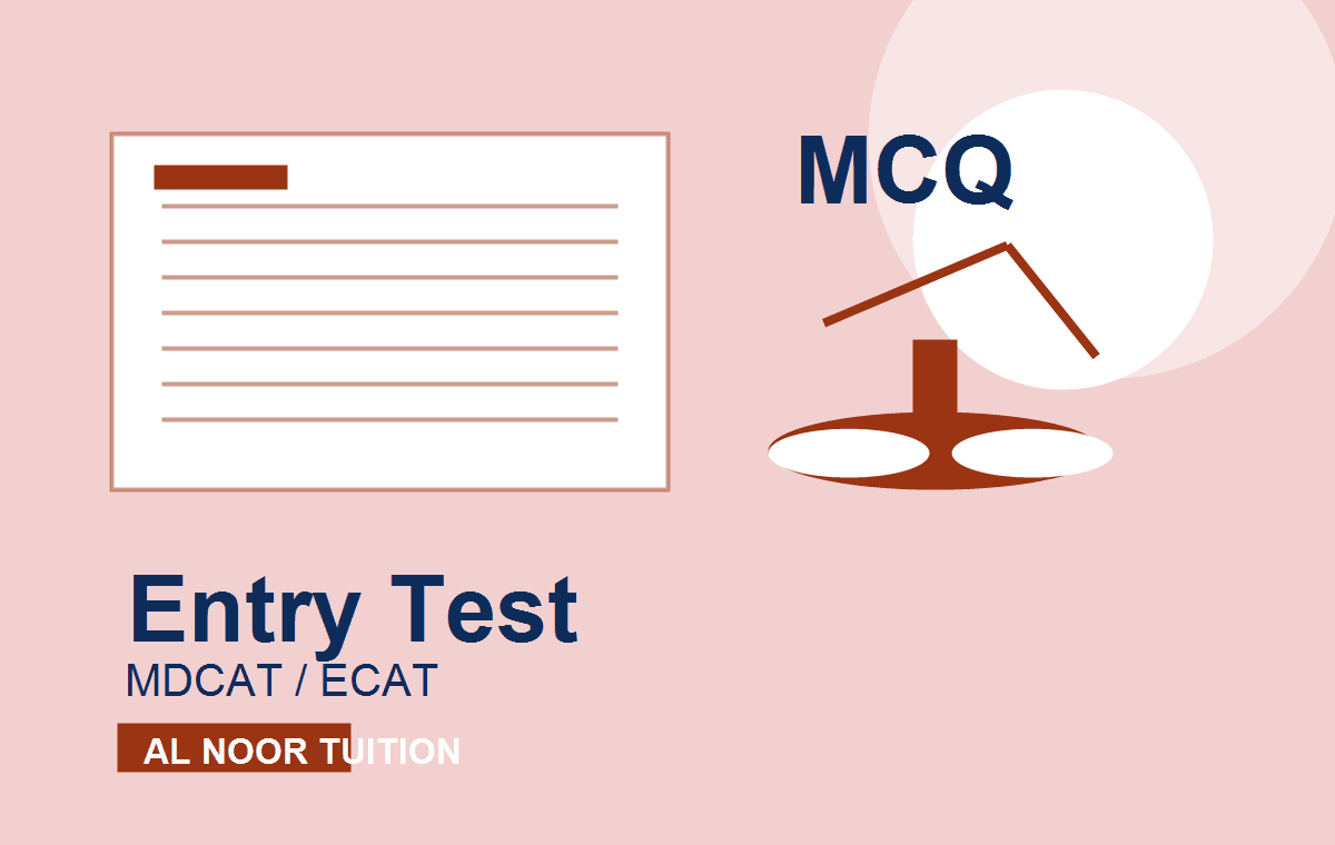 Entry Test Prep tutor support