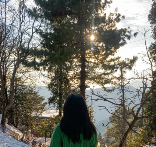 Ansa Noreen